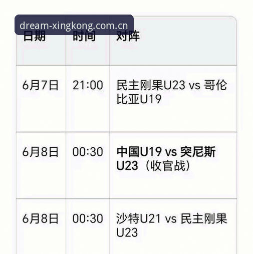 星空XINGKONG官网探索版见证U19国足土伦杯出局最新动态，数据复盘突尼斯之战